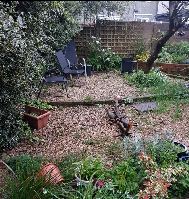 Garden remodeling 3 IMG 6223 1 e1704722702785