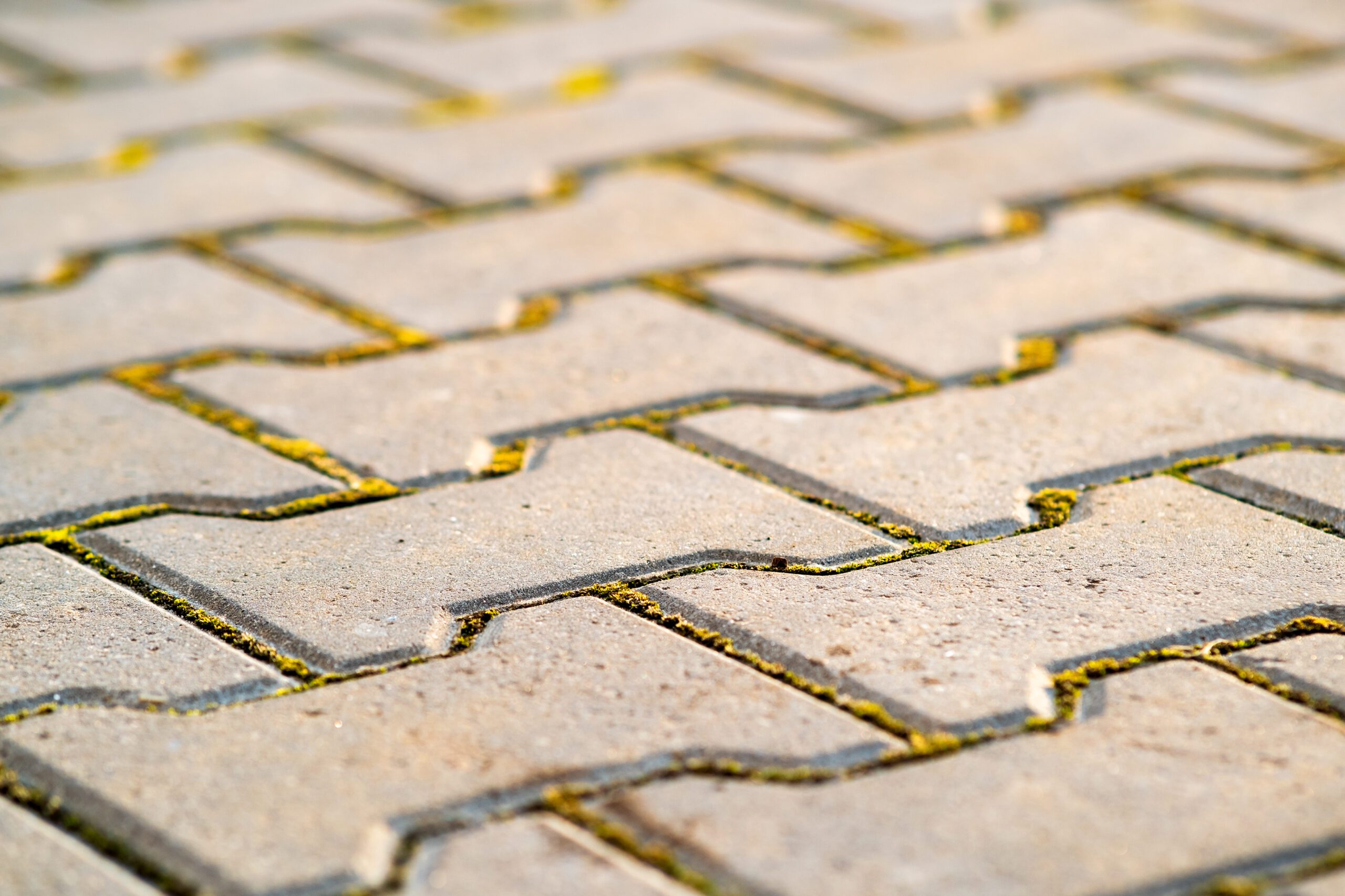 Block Paving And Patio 5 Closeup detail of gray concrete yard pavement slabs.