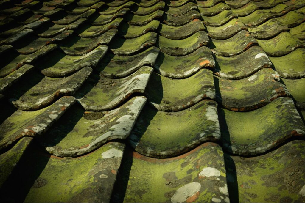 A moss covered roof