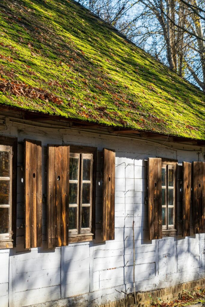 A rural building with a moss covered roof.