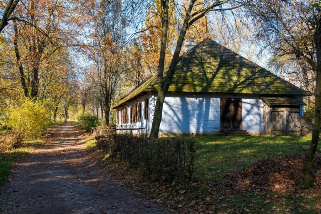 A building in a forest with a moss covered roof.