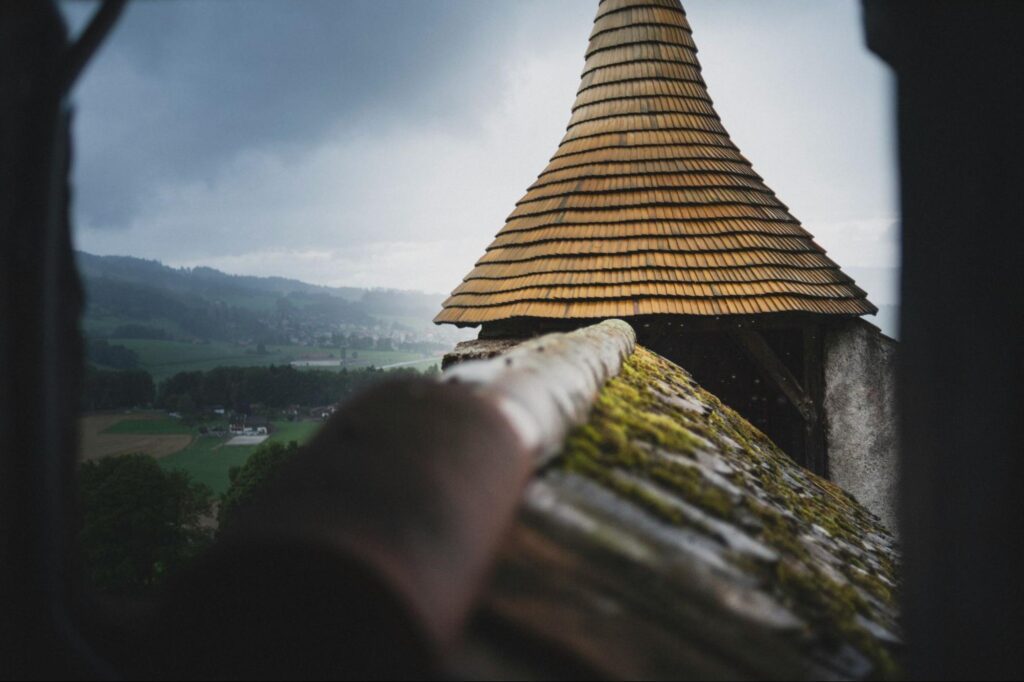 A moss covered roof.