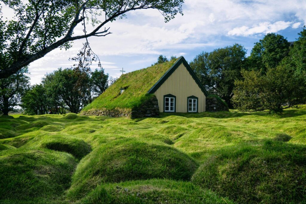 A small house with a moss covered roof
