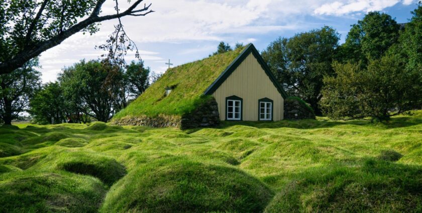 A small house with a moss covered roof