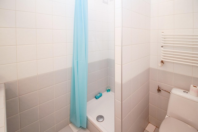 Wet Room vs Traditional Bathroom: What Works Best in Irish Homes? 5 a shower drain with a curtain