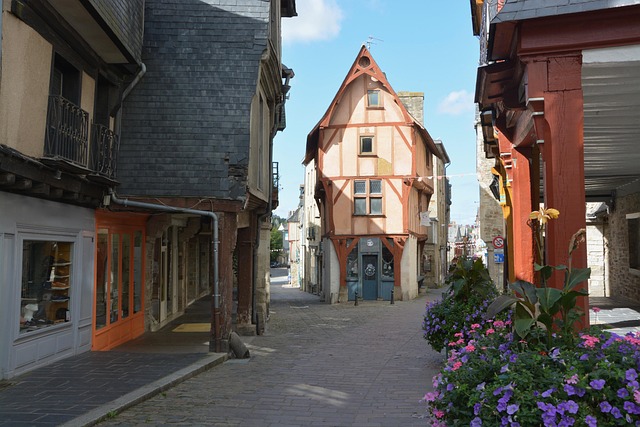 Renovating an Old Irish Home: Common Issues and Solutions 6 Charming old Irish street