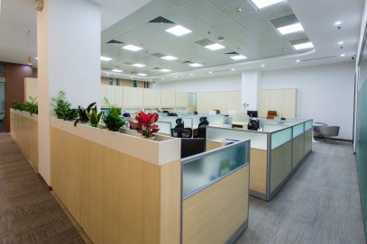 pexels-doan-thanh-binh-2147604563-36631701 pexels-doan-thanh-binh-2147604563-36631701